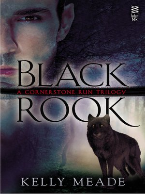 Black Rook - ebook